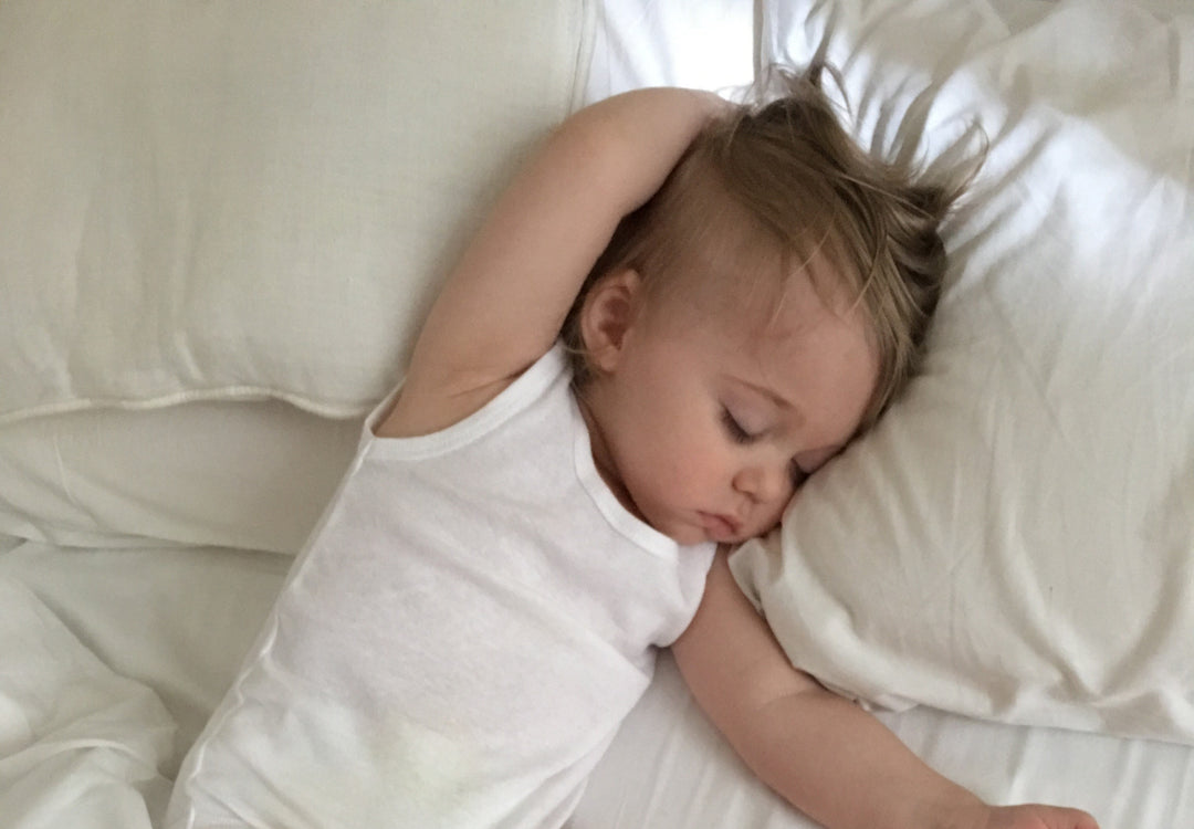 comfy sofa bed mattresses and options